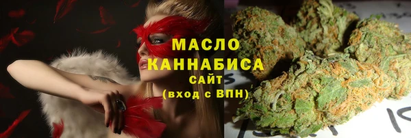 spice Богородск